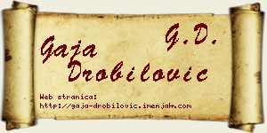 Gaja Drobilović vizit kartica